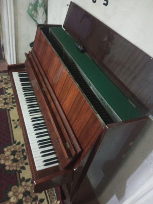 Piyanino.  Eng zori.