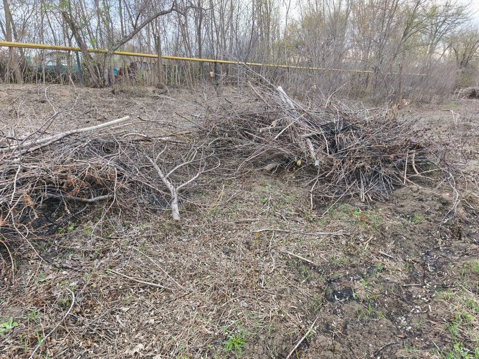 Отдам даром разные дрова и доски