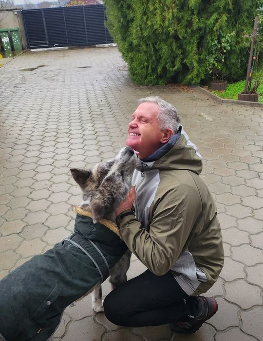 Plimbări câini, Dresaj canin, Vizite pisici & căței,Pet sitting,  Pet Taxi  și multe altele. ❤️  Îngrijire cu pasiune