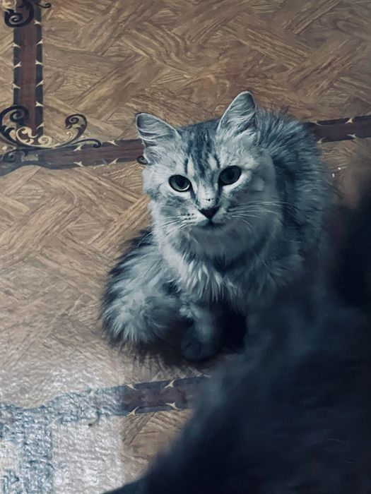 На третьей фотке их мама