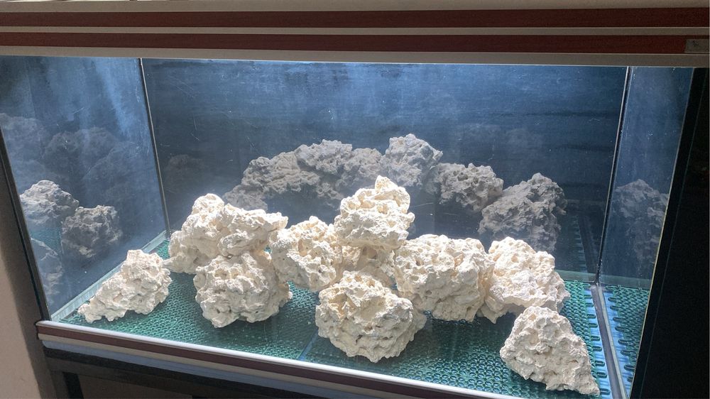 Servicii acvaristică