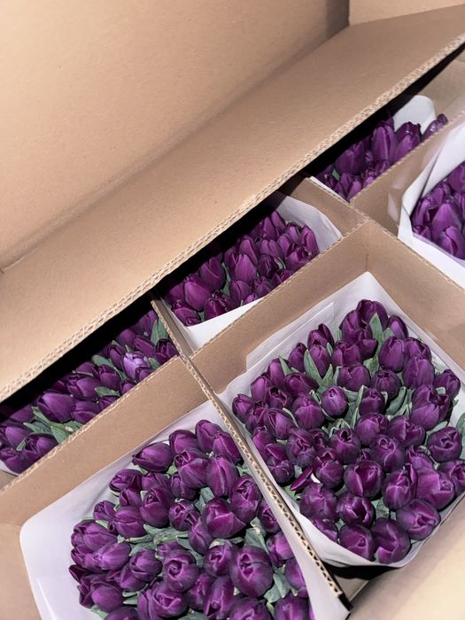 Тюльпаны к 8 марта