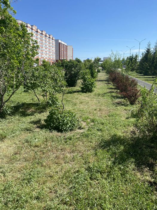 Шөп шабамын тримермен/ Кошения травы тримером