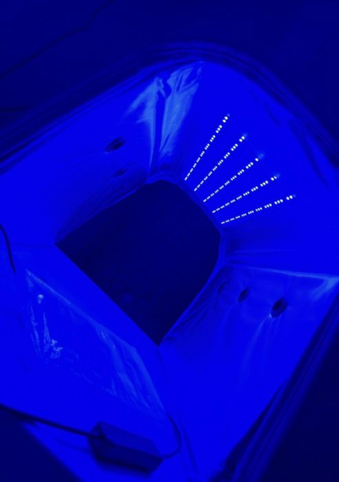 Фотолампа Maineng