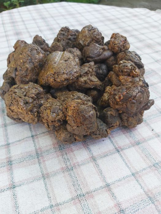 Пчелен восък , прополис