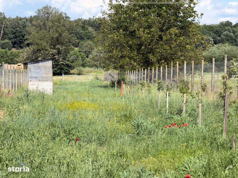 Teren intravilan, 2300mp - Vinerea ( Cugir )