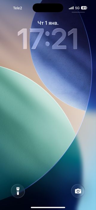 17 про 256 гб  100%