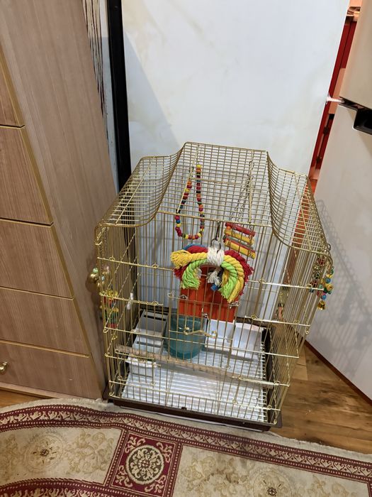 Клетка для попугая