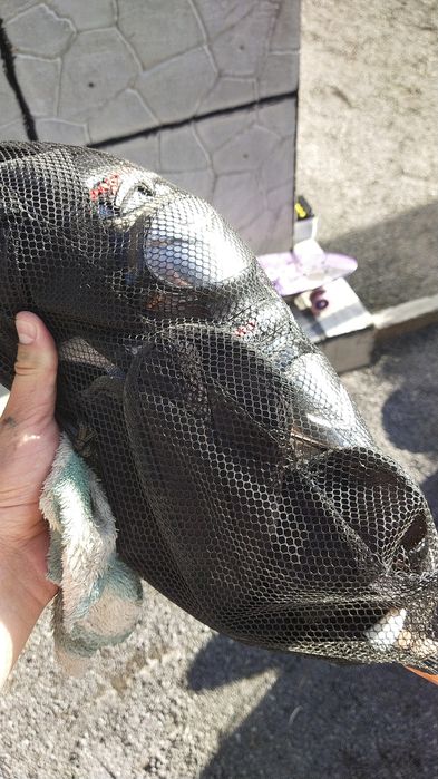 защитные щетки для езды на Мотоцикле