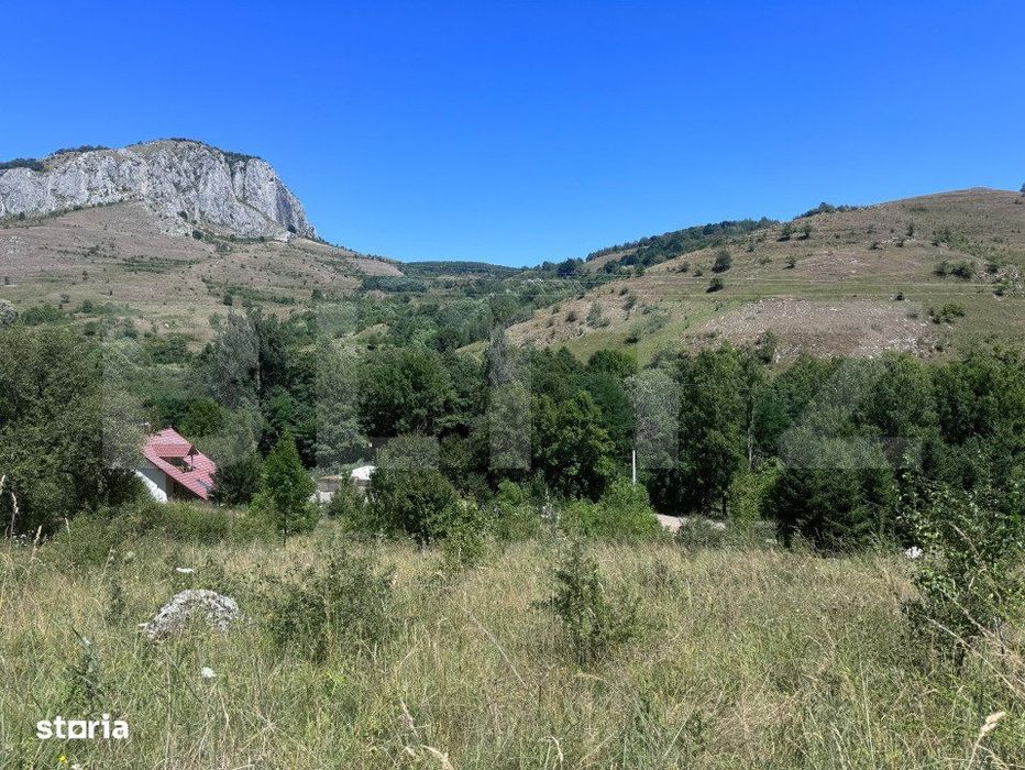 Teren extravilan,6000 mp,Valisoara