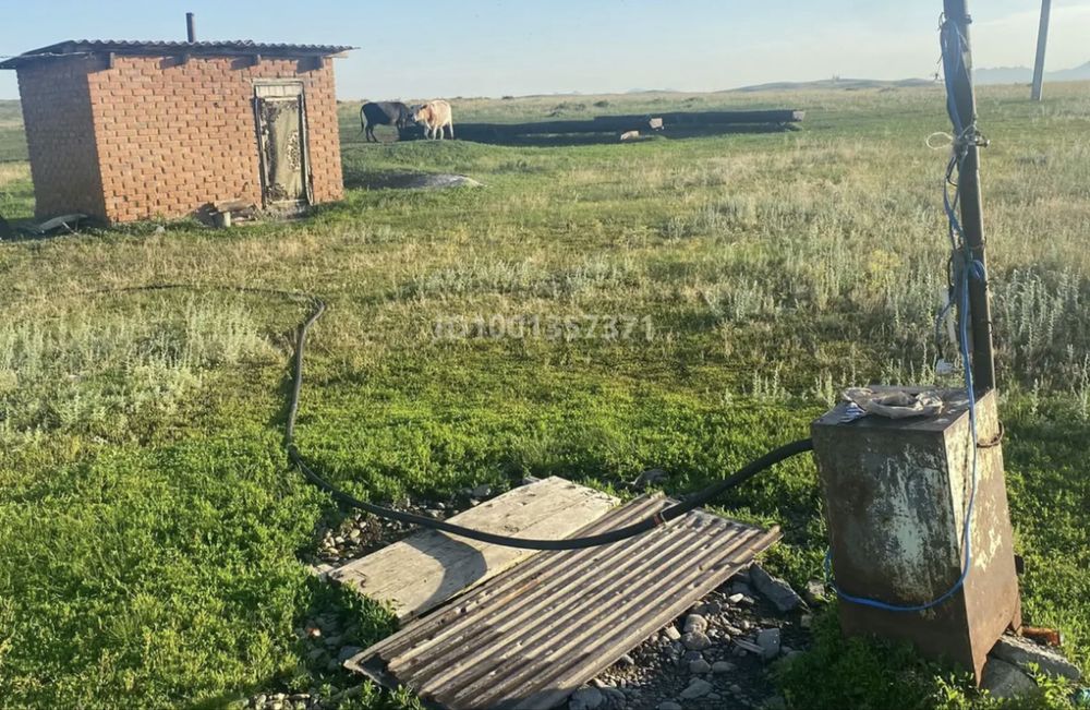 Продам крестьянское хозяйство