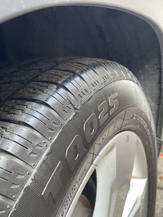 Orlando mokriy 2017 xolati alo arenda Орландо аренда