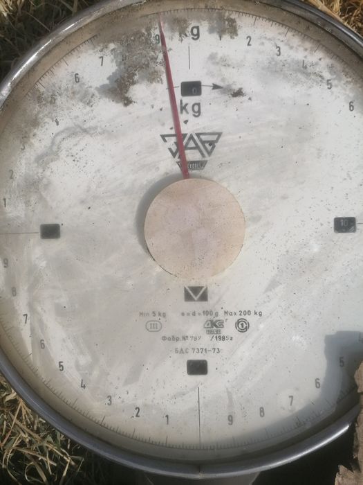 Български кантар везна