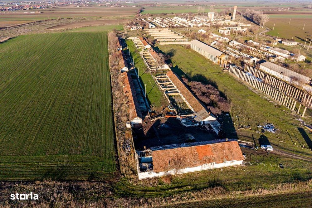 Teren 1.15 HA lângă Autostrada – Nădlac | clădiri+utilități
