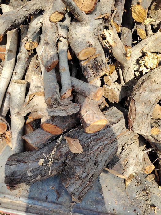 У'тин сотилади лабода