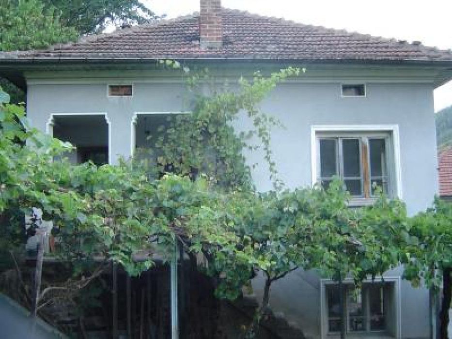 Къща в село Лопян
