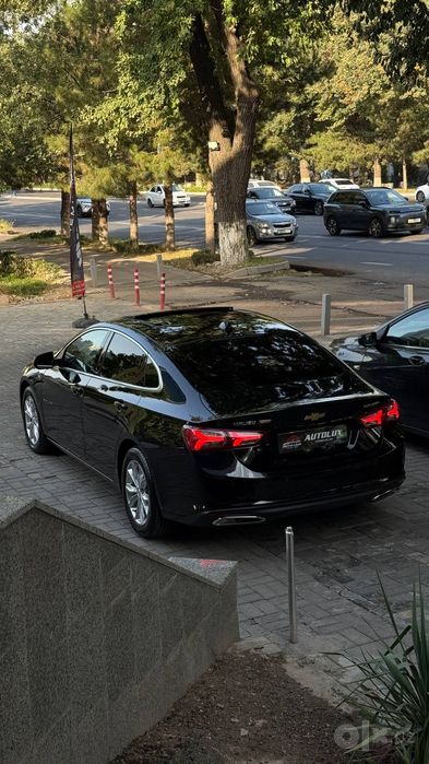 Malibu Premier 2020 Тозза