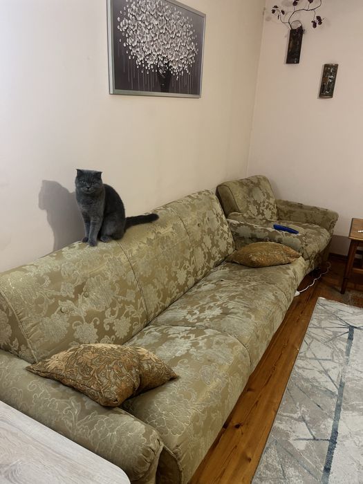 Диван с креслом