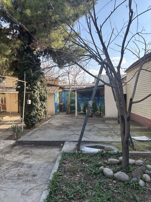 Аренда.   Дом.   Яккасараский.  Район.   Орентир.   Ул.  Иевлева.