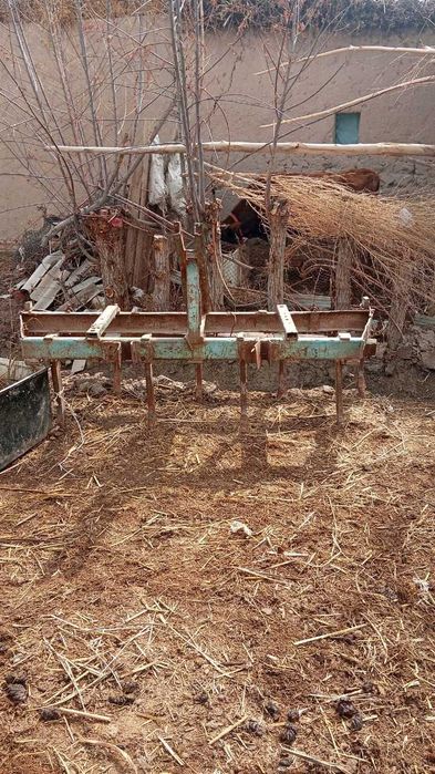 Chizzil sotiladi  Yangiariqda