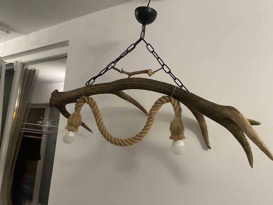 Полилей от масивен рог