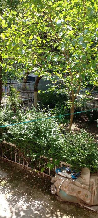 Шахар марказидан Дом сотилади