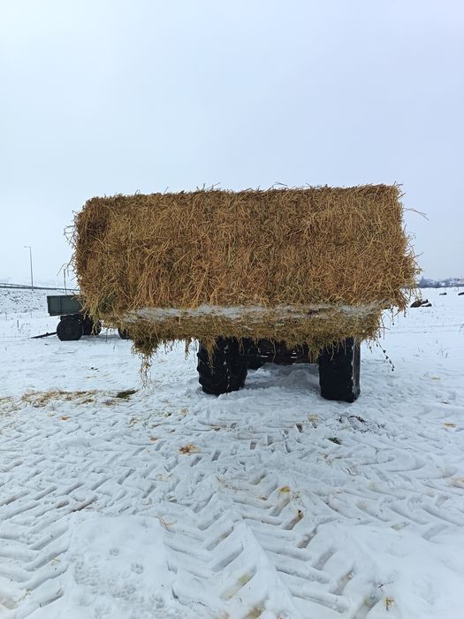 Baloti de lucerna, și paie