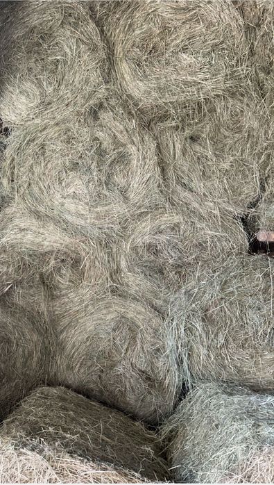 Baloti de fan rotund  120/120