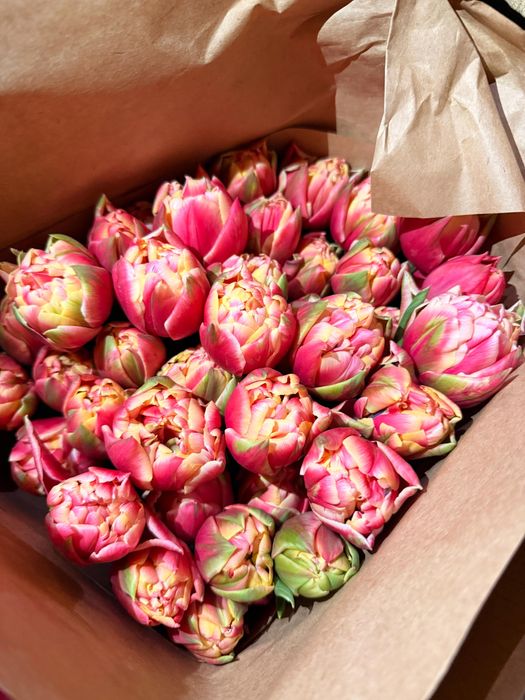 Свежие ,красивые тюльпаны ,букеты