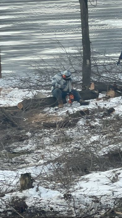 Спил Деревьев,Сруб,Распил,Ағаш кесемыз.