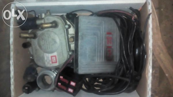 АГУ обикновена - НОВА ЦЕНА!!!