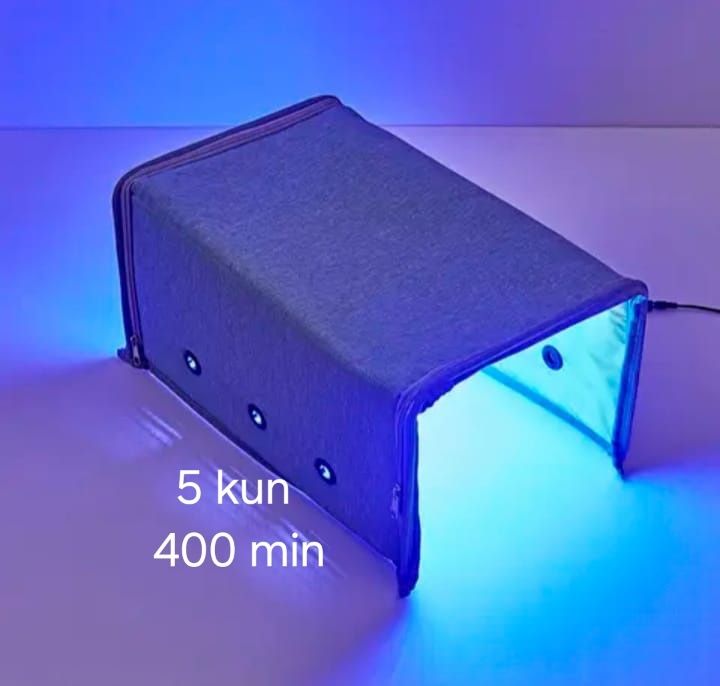 Fototerpiya v arendu