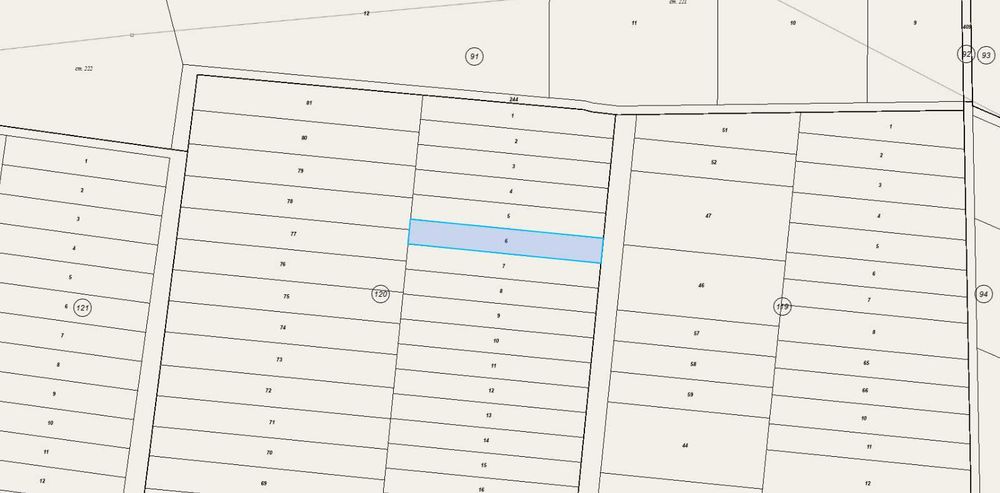 Земеделски поземлен имот- лозе с. Гривица      лозе с. Гривица