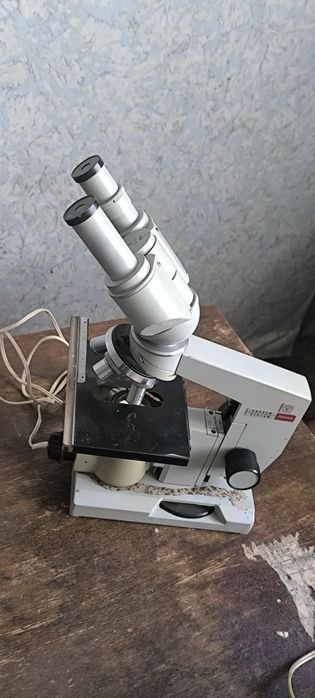 Продам рога лося
