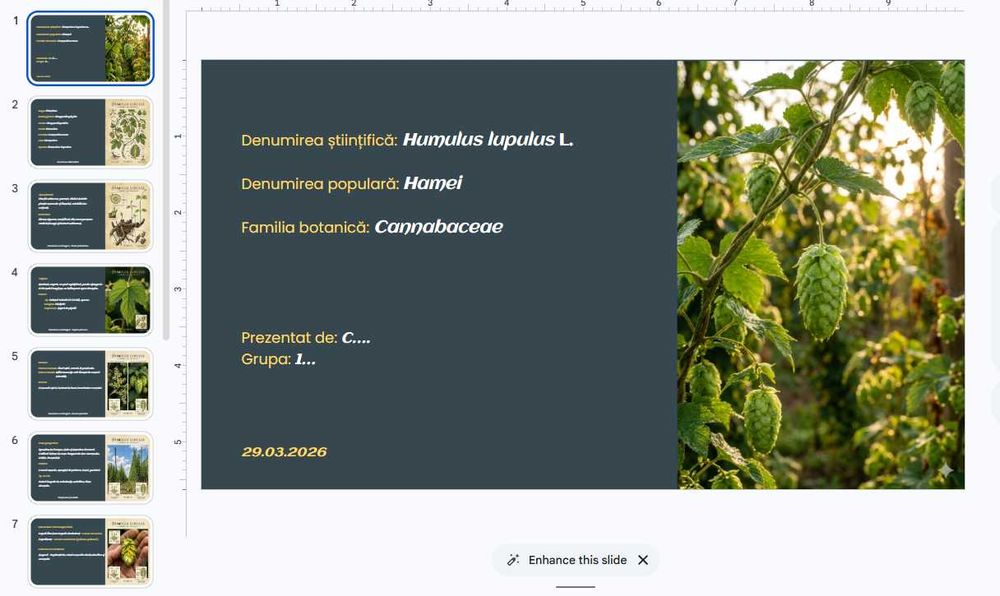 Ajutor Academic: Referate, Prezentări PowerPoint și Lucrări de Curs
