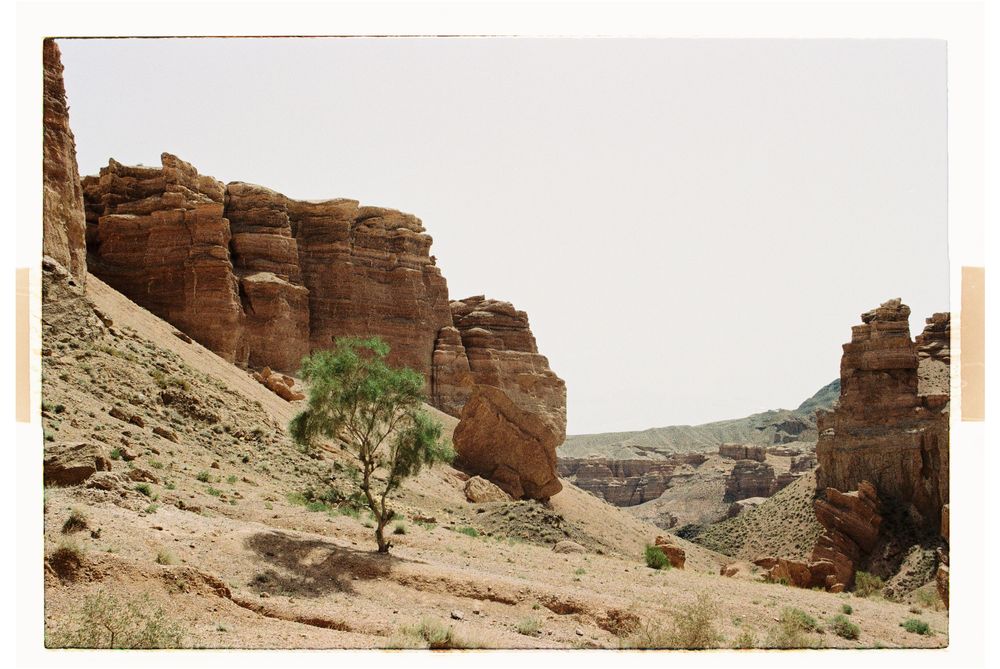 Пленочный фотоаппарат