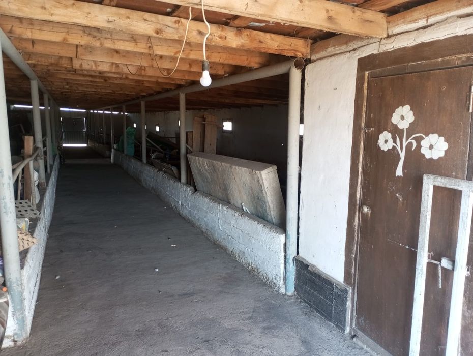 Фазенда сатамын!