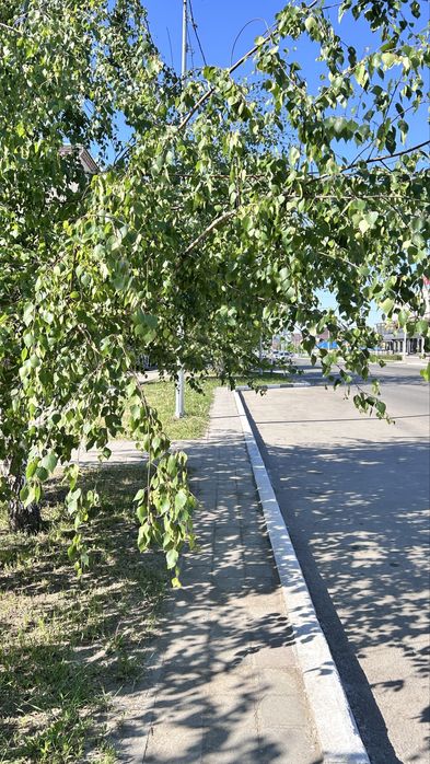 Кровать 1,6*2,0, МДФ.