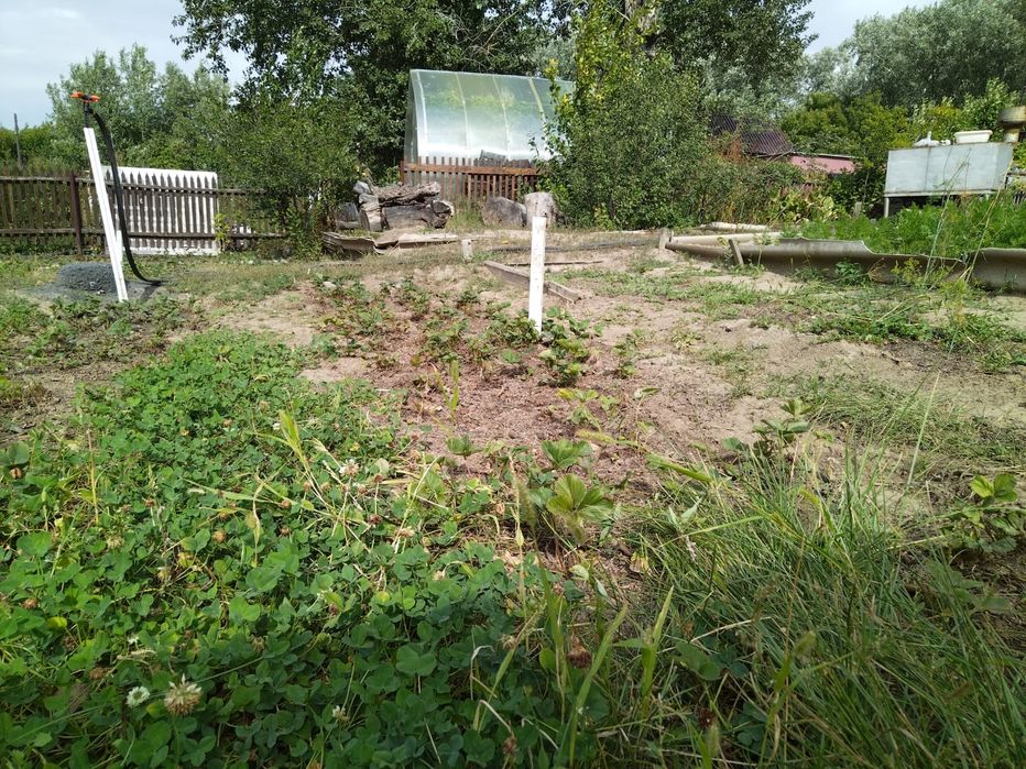 Дача на Солнечной с урожаем