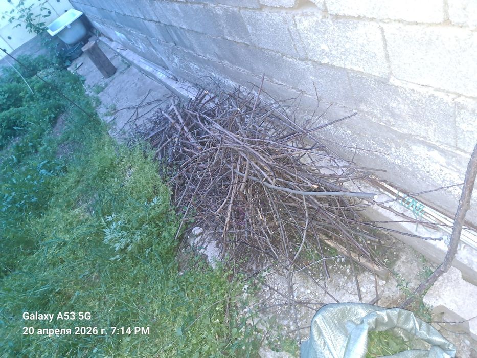 Дрова для костра