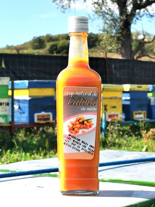 Sirop de catina cu ghimbir și miere de salcam