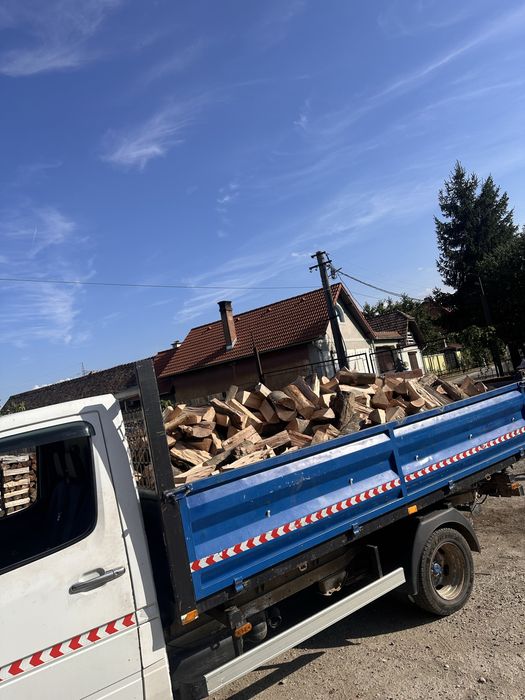 Vand lemn de Foc : Fag , Brad