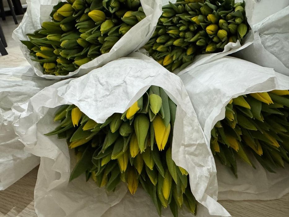 Тюльпаны к 8 марта