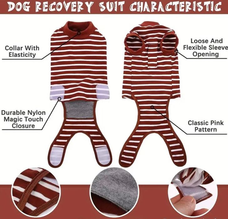 Body hăinuta recuperare medicală caini