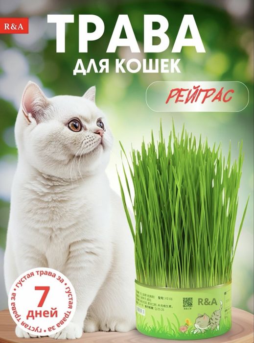 Трава для кошек, для любого возраста