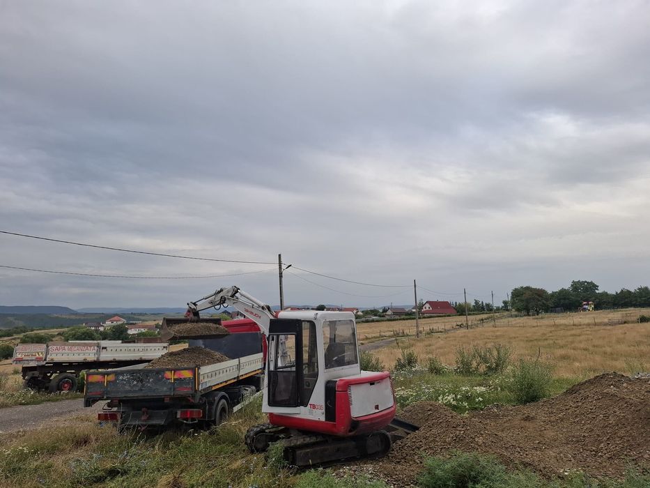 Miniexcavator 3 tone și basculanta7,5 Man