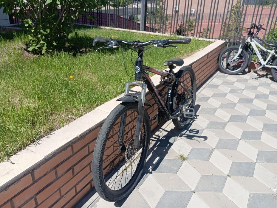 Велик фирмы Demont