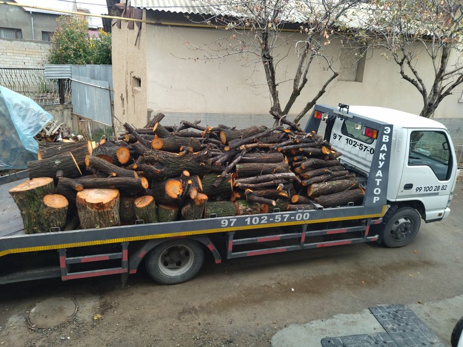 Дрова фруктовые крупные