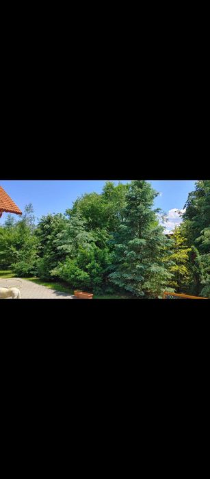 De vanzare - CASA