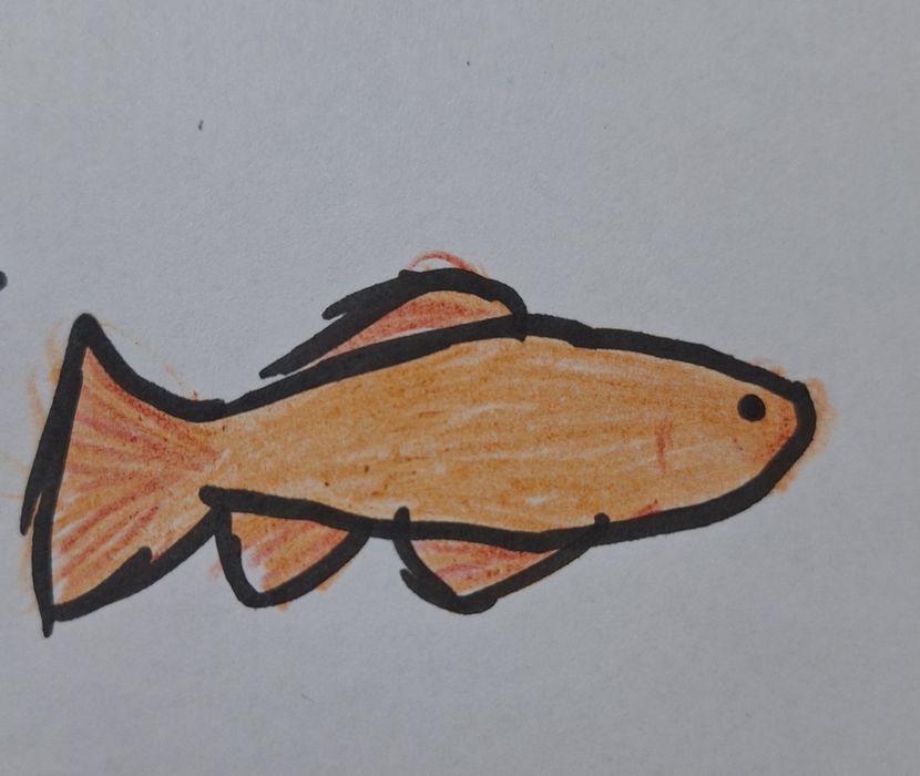 Рисую ваших питомцев